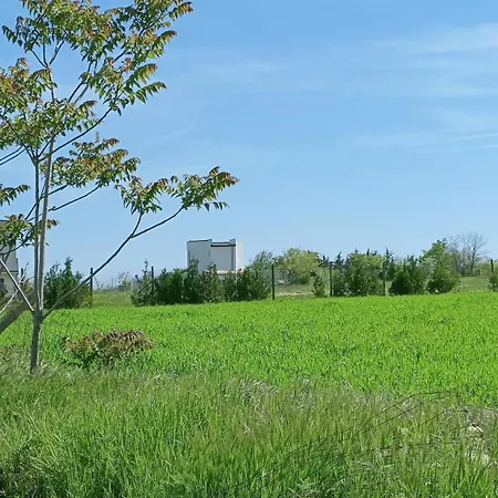 Noah Studio * テキルギオル