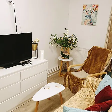 Noah Studio テキルギオル